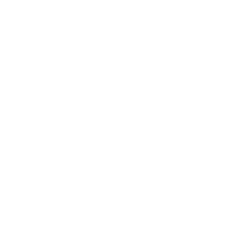 Animation icon