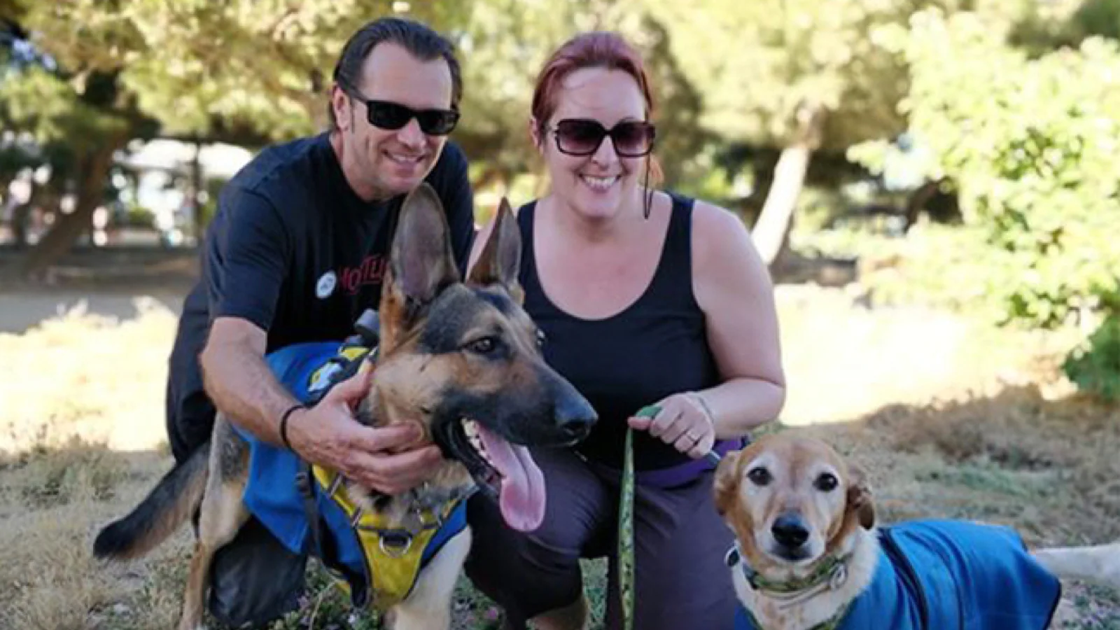 Family with dogs